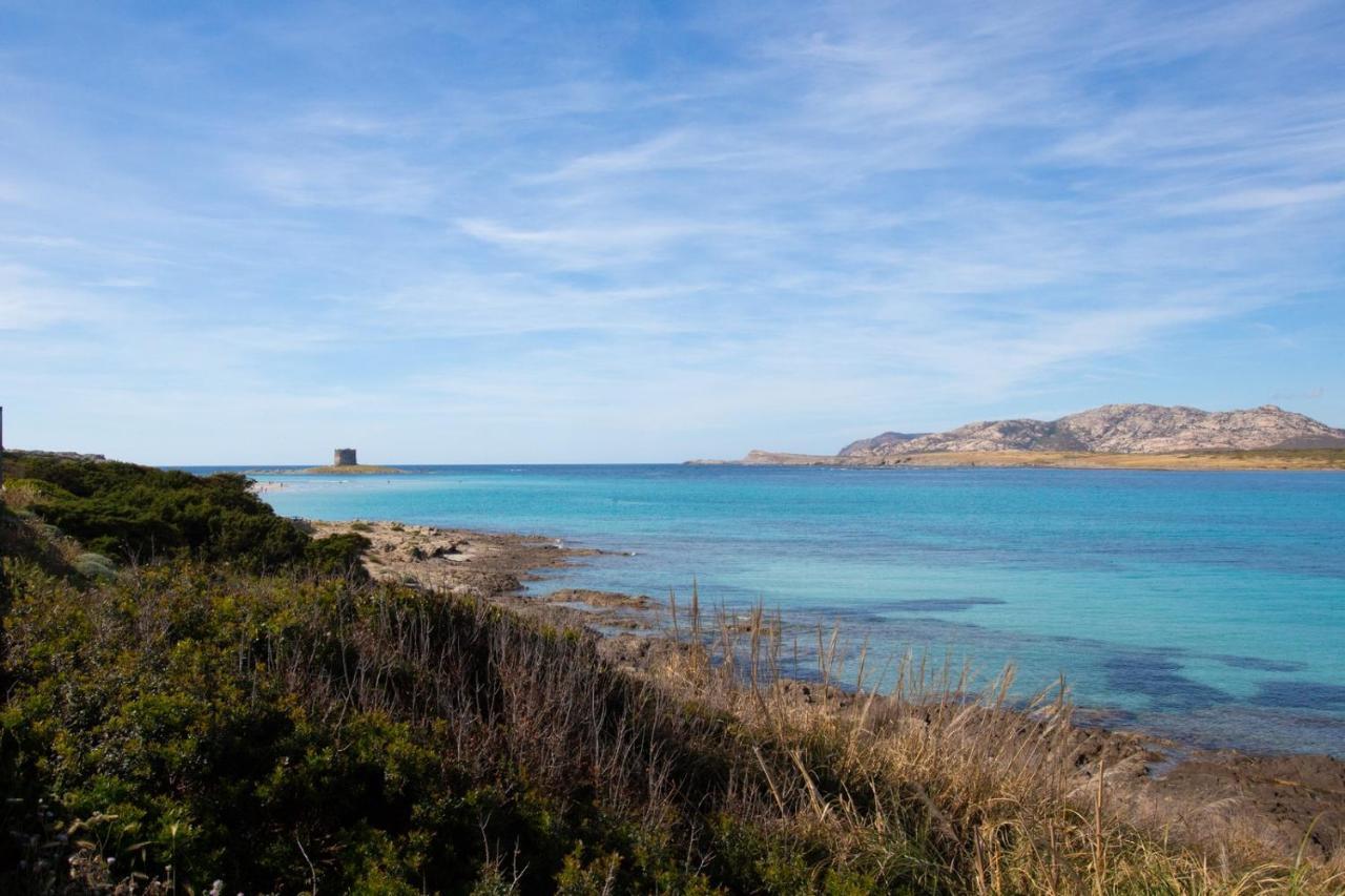 Panorama Sul Mare Villa Stintino Kültér fotó